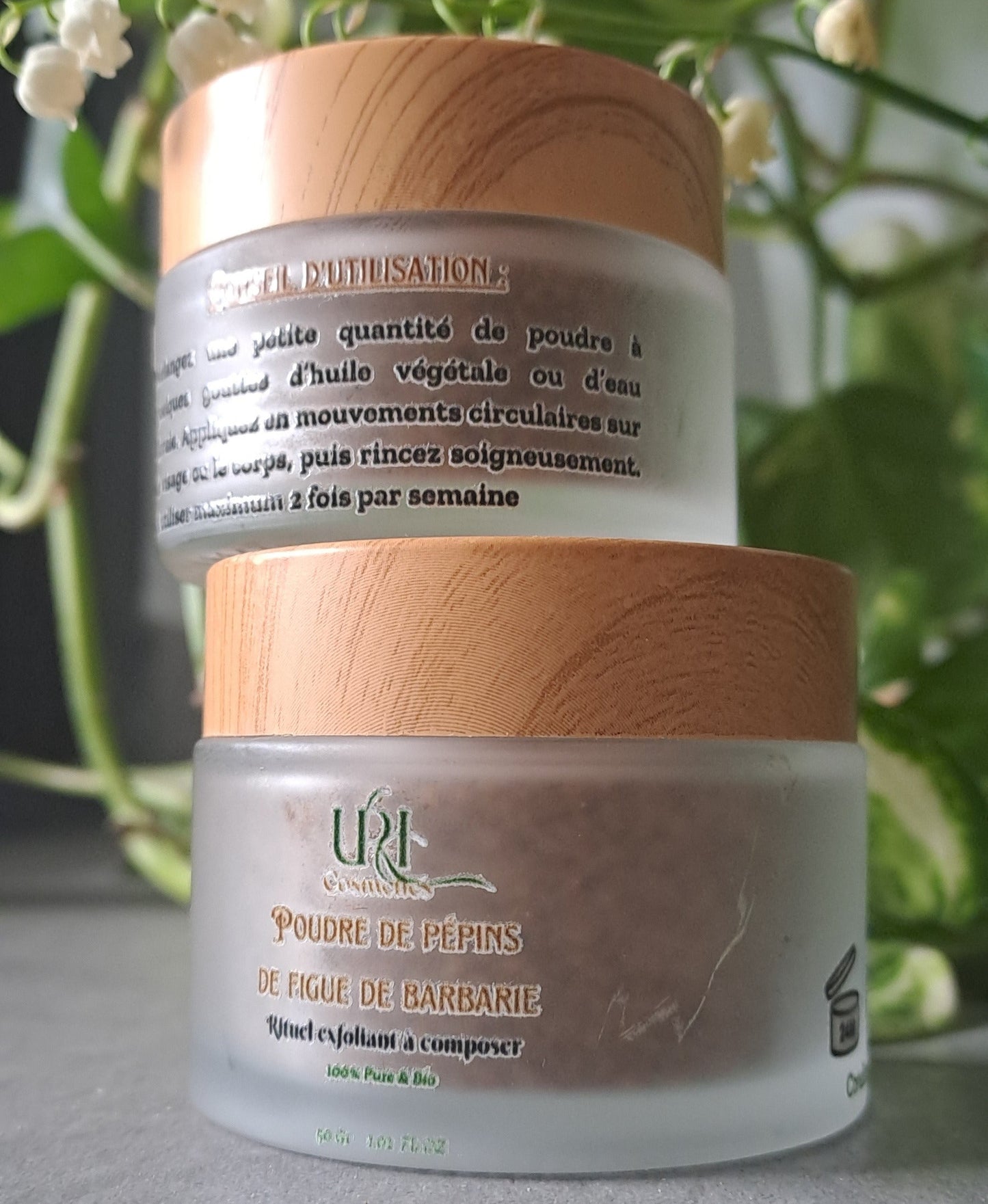 Poudre Exfoliante Naturelle aux Pépins de Figue de Barbarie – Soin Visage et Corps